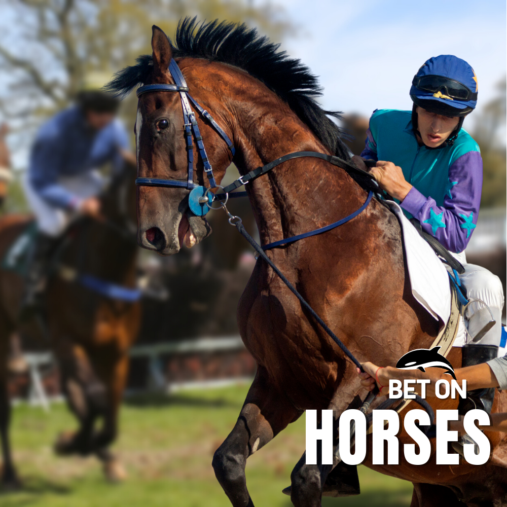 BETGRANDE ONLINE RACEBOOK |  HORSE RACETRACKS BETTING
